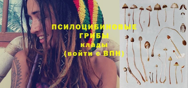 прущая мука Дмитров