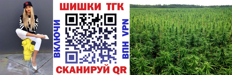 Купить закладки  Северская  Канабис Amnesia 